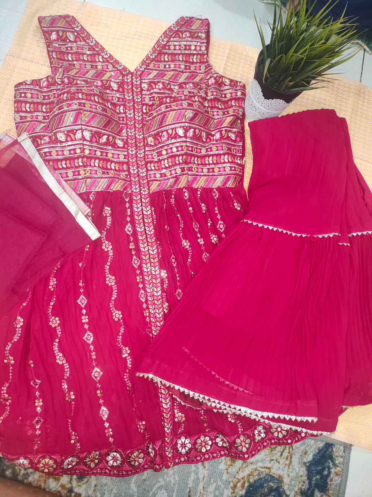 Rani Color Sharara Set